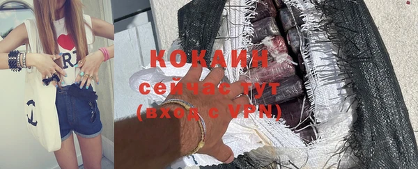 сатива Абаза