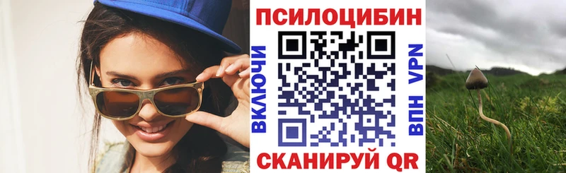Псилоцибиновые грибы прущие грибы  KRAKEN вход  Павловский Посад 