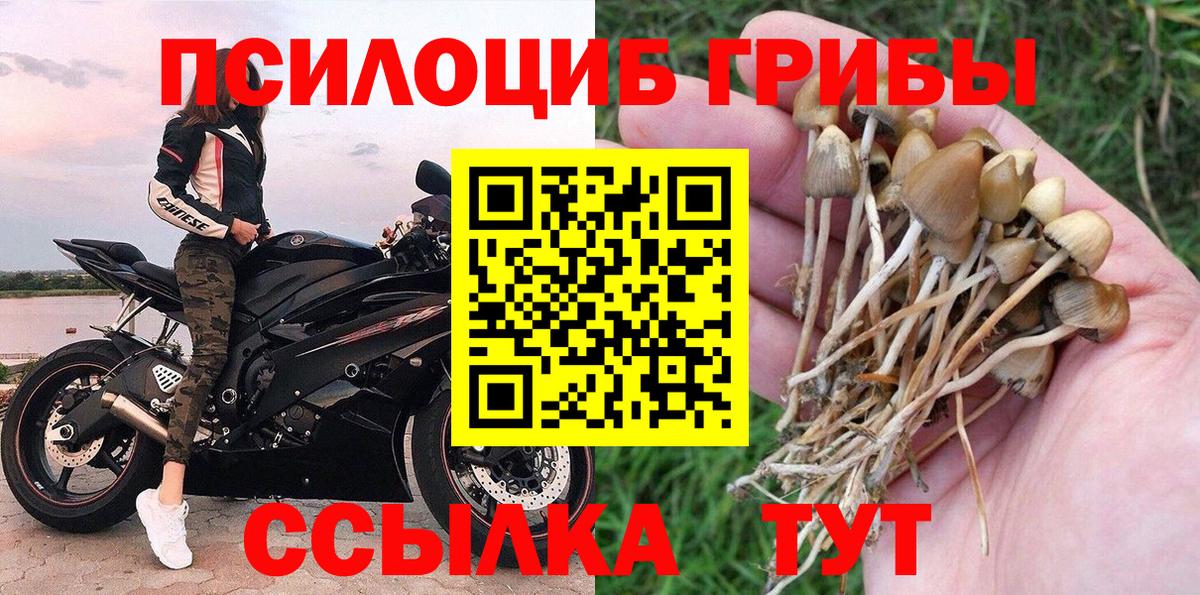 Галлюциногенные грибы мицелий Павловский Посад