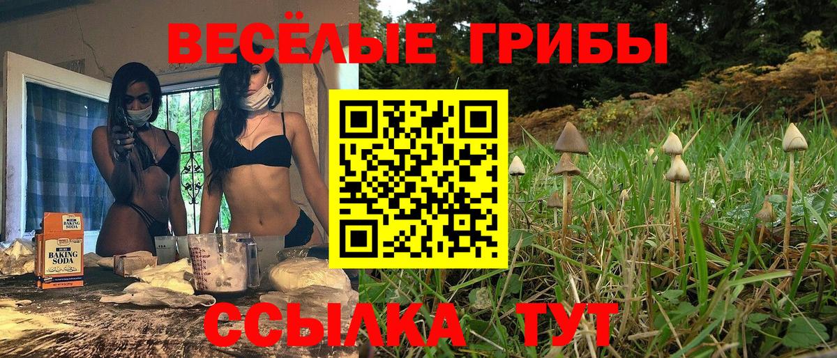 Галлюциногенные грибы мухоморы  Вход с VPN  Павловский Посад 